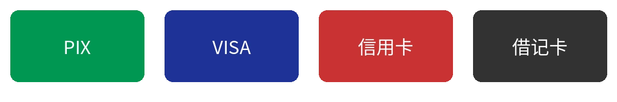 支持的支付方式图标包括PIX信用卡借记卡
